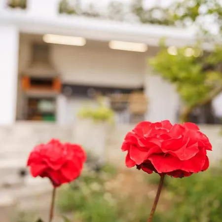 Guest house Guestready - Hideaway With Bbq 3*