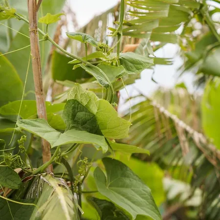 Guest house Guestready - Hideaway With Bbq 3*