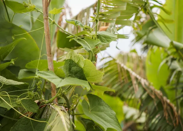 招待所 Guestready - Hideaway With Bbq 3*