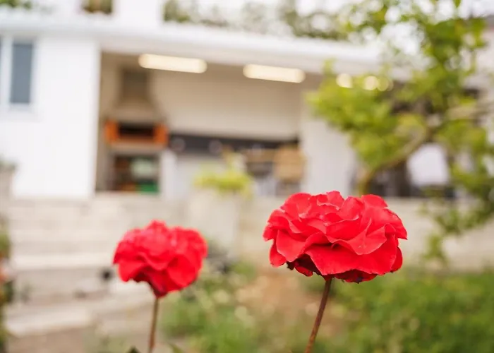 Vendégház Guestready - Hideaway With Bbq 3*